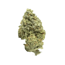 Canify Cannabis flos 18/1 UY Ku. Big Buddha